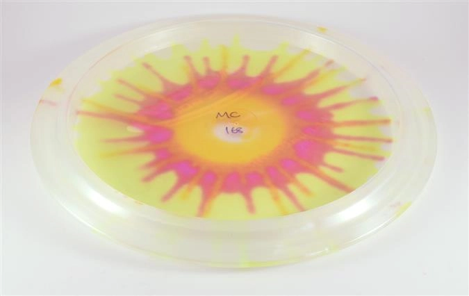 MonarchChampion Dyed